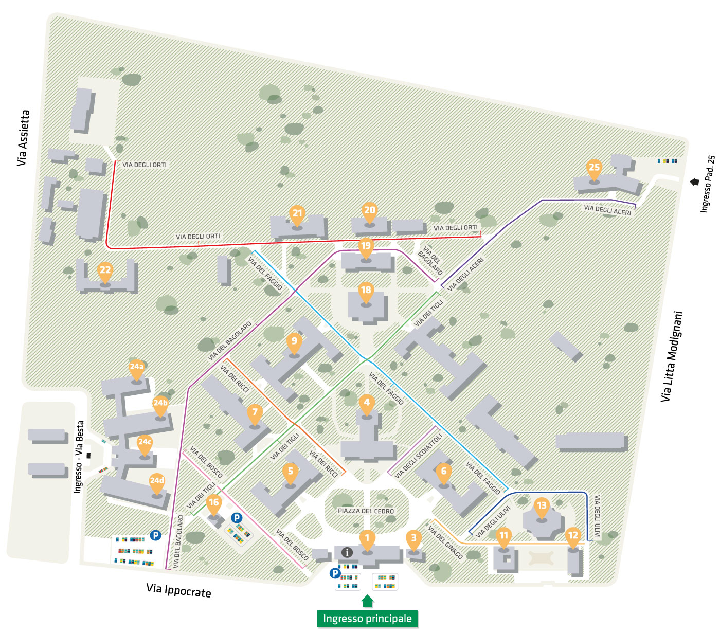 mappa di via Ippocrate - clicca per scaricare pdf