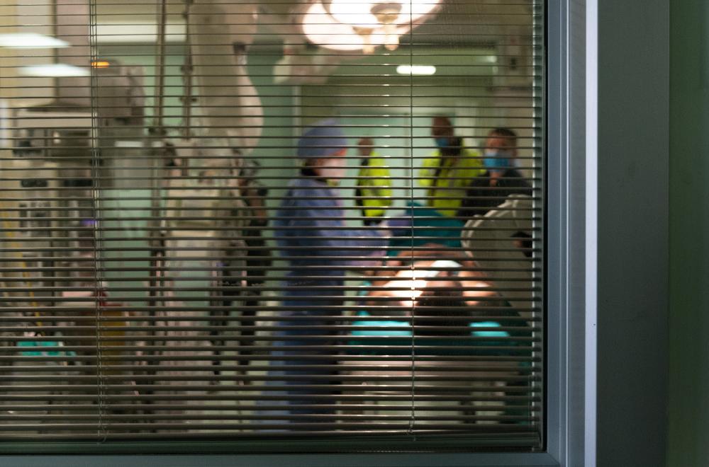  Incidenti stradali. I dati del Trauma Center di Niguarda